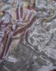 Tissue Organza Saree with Gold and Silver Stripes
