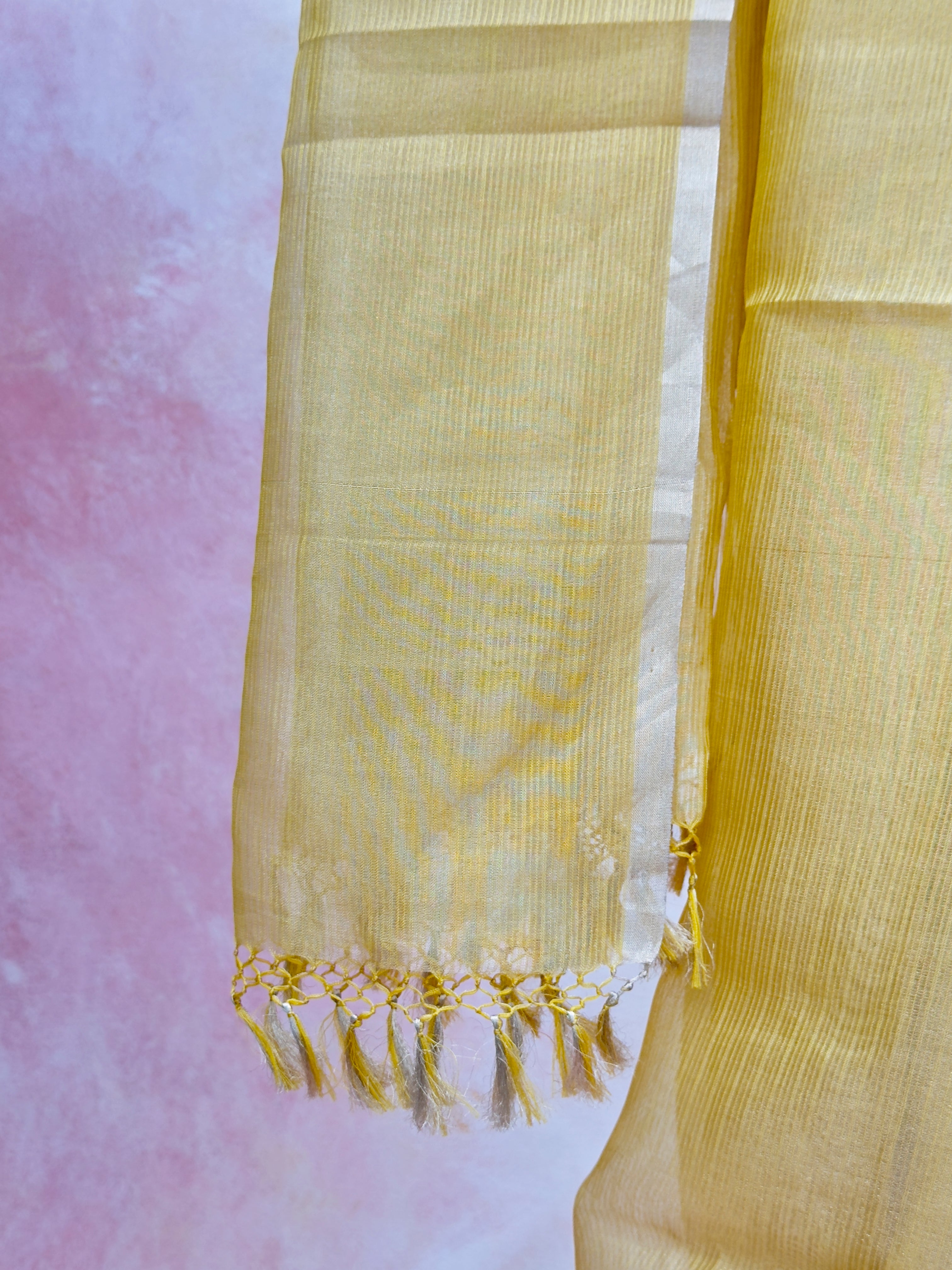 Tissue Banarasi saree