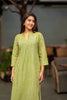 Green and Beige Striped Cotton Kurti Set